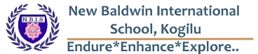 NBIS Logo